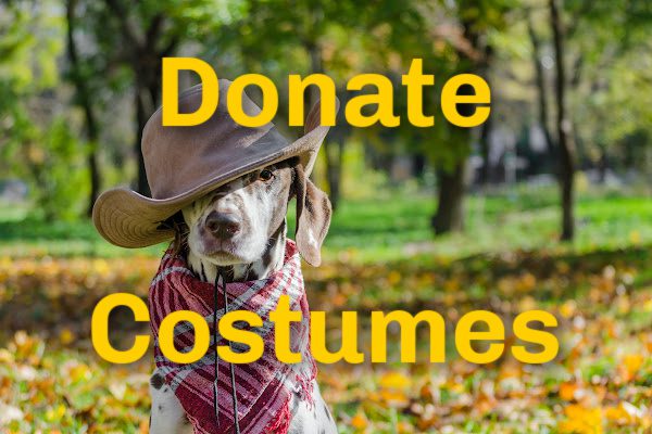 Halloween Costume Echange