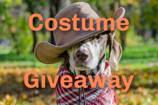 Halloween Costume Giveaway