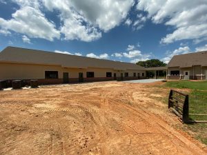 back and walkway