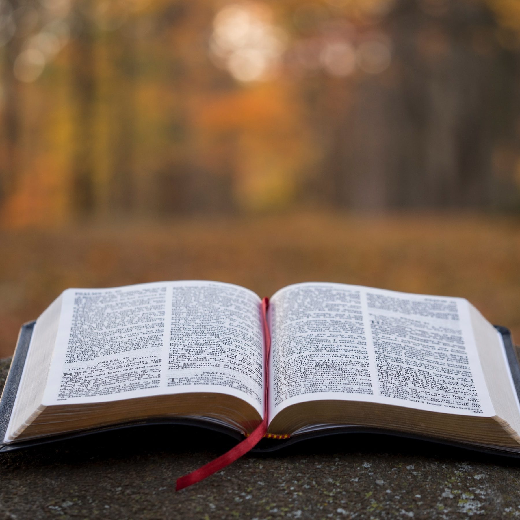 Ladies’ Bible Study