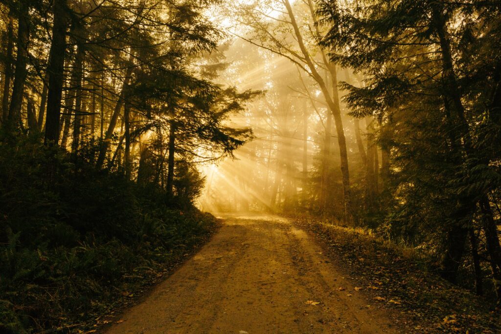 God’s Light is Our Guide