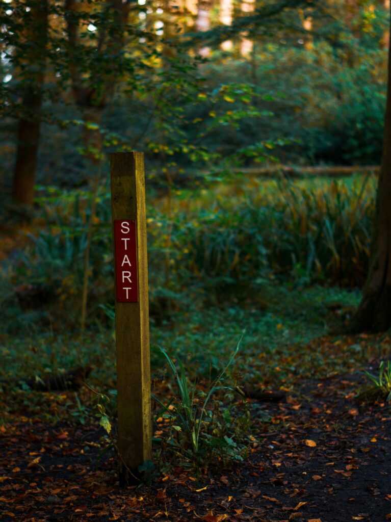 Eilis garvey 1qcoqkkeq1m unsplash