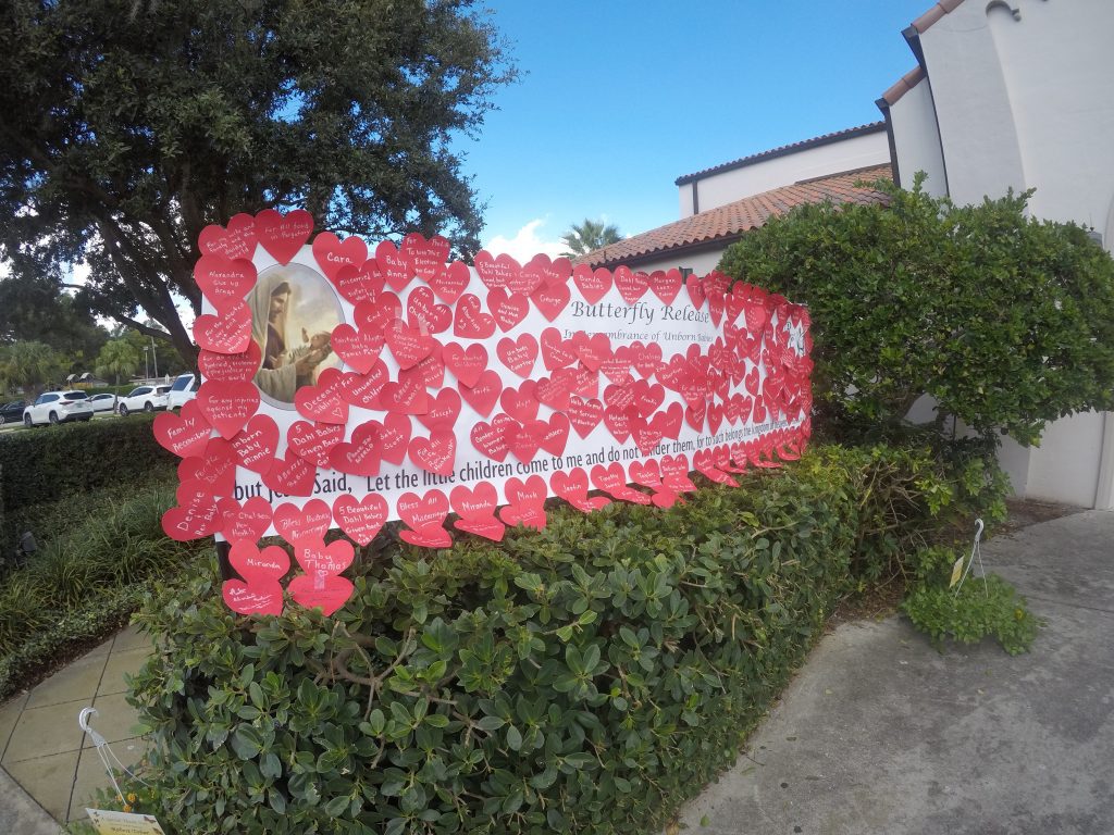 GOPR0090