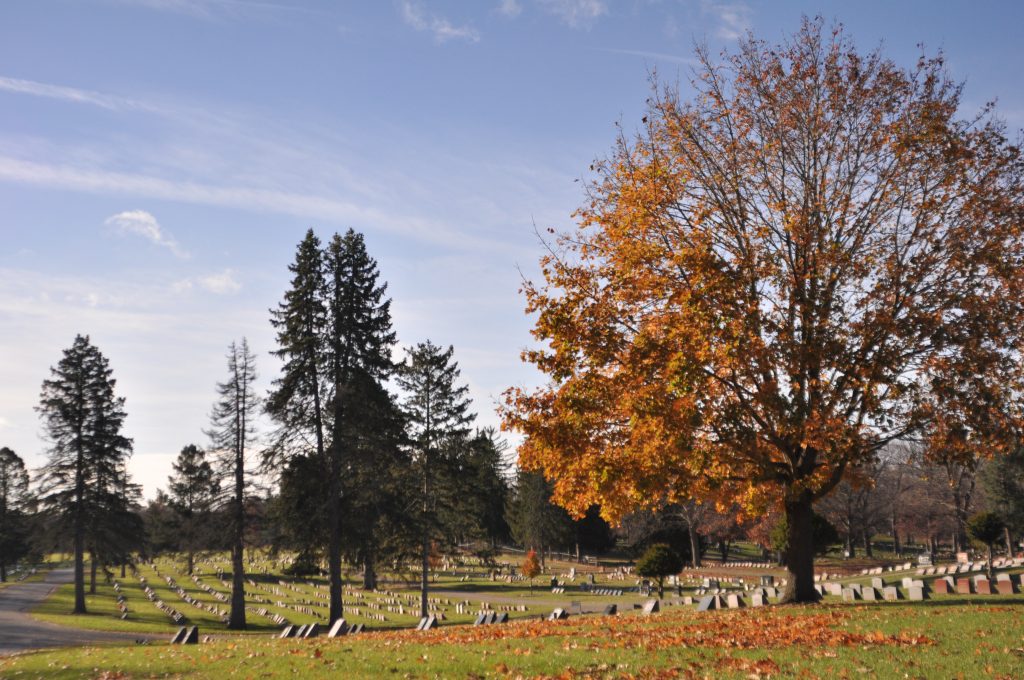 St John Catholic Cemetery - St John Catholic Cemetery