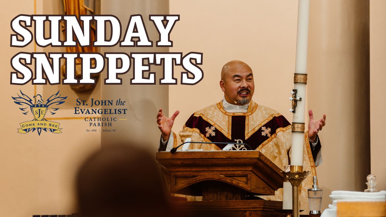 Homily Short, 4th Sunday in Lent, March 15 2026