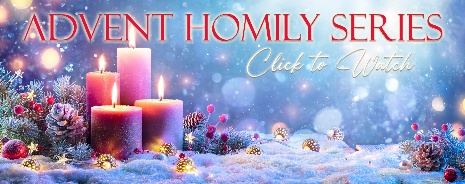 Advent Homily Series - St John the Evangelist Catholic Church Jackson Michigan