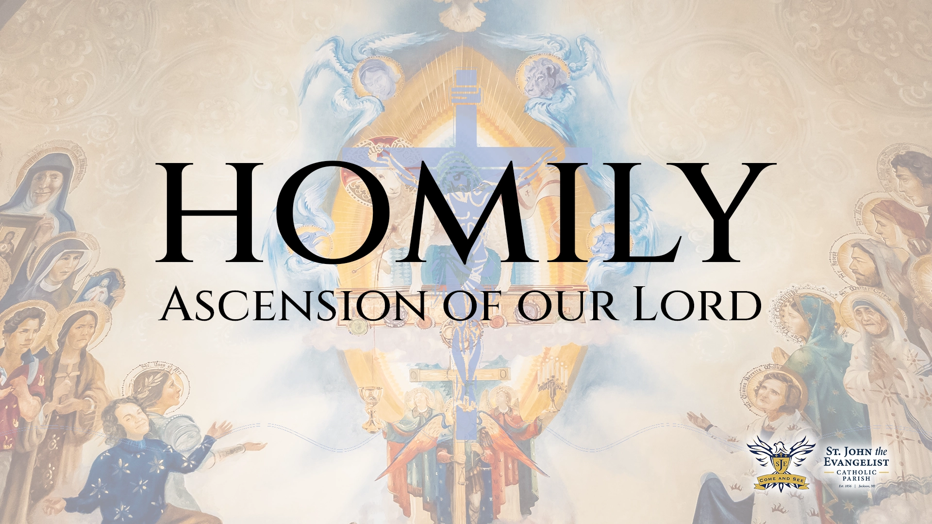 Homily Short, Ascension of our Lord, May 17, 2026
