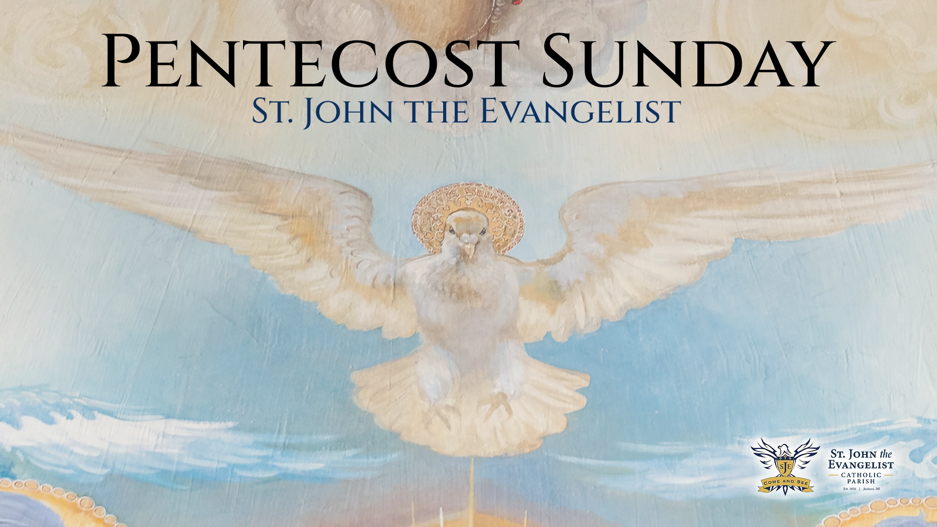 Homily Short, Pentecost Sunday, May 24, 2026