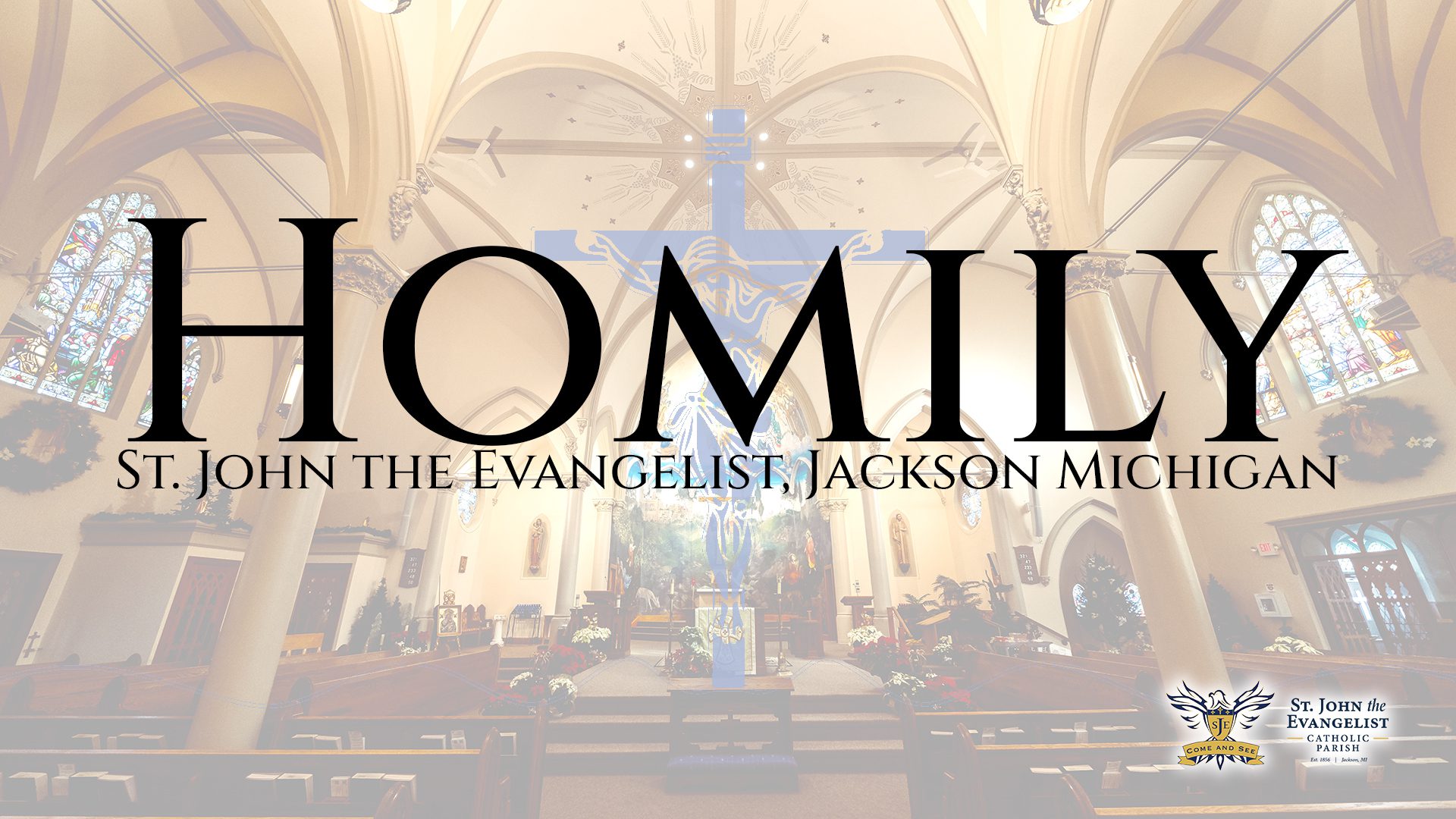 Homily Short, 11th Sunday Ordinary Time – June 14, 2026