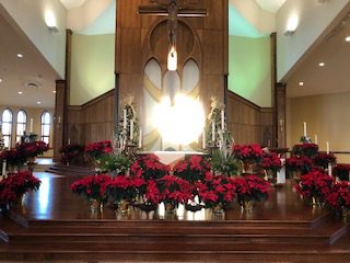 IMG_4762