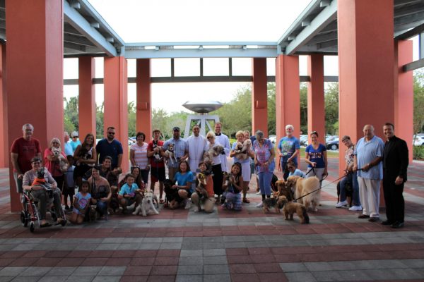 Blessing of the Animals 2019