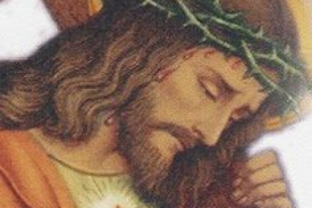 Décimo Tercer Domingo del Tiempo Ordinario