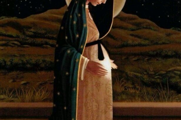 Stations of the Crib
