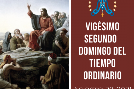 Vigésimo Segundo Domingo del Tiempo Ordinario