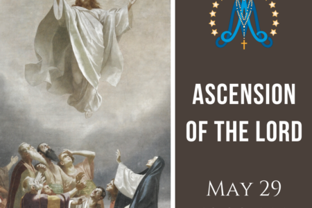 The Ascension of the Lord