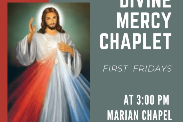 Divine Mercy Chaplet