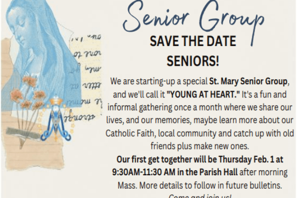 Senior Group