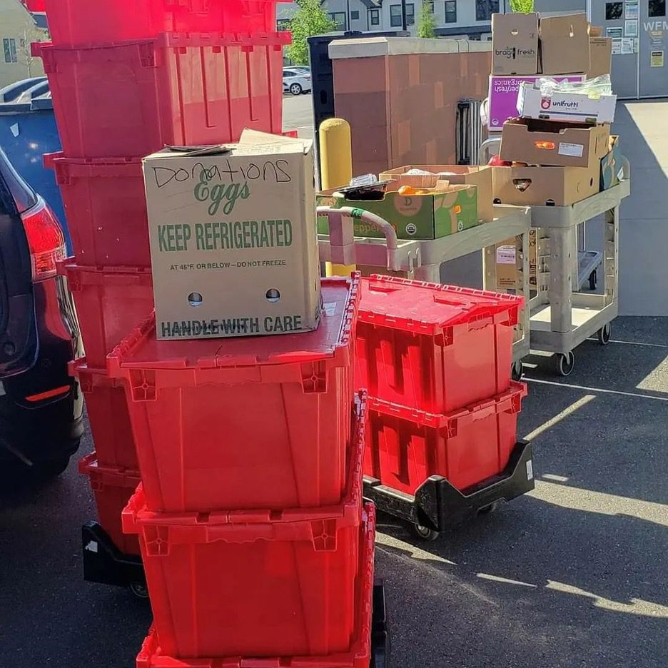 11 pick up food 2