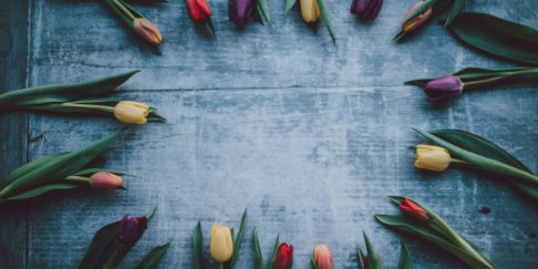 Easter Flowers