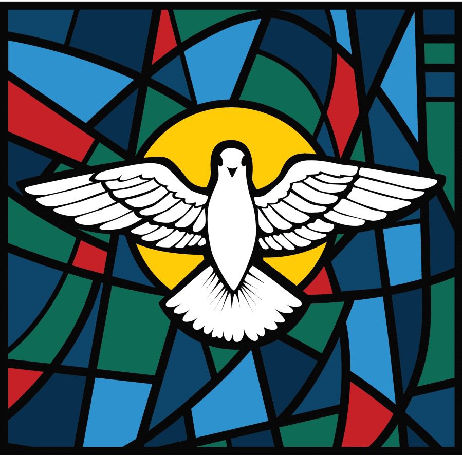 Catholic Ministry Appeal report as of August 20, 2026