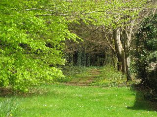18th Sunday Year B (Gospel: John 6:24-35)  Do not work for food that cannot last; but work for food that endures to eternal life.