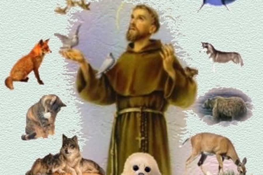 Happy-St.-Francis-Day-Greeting-Card