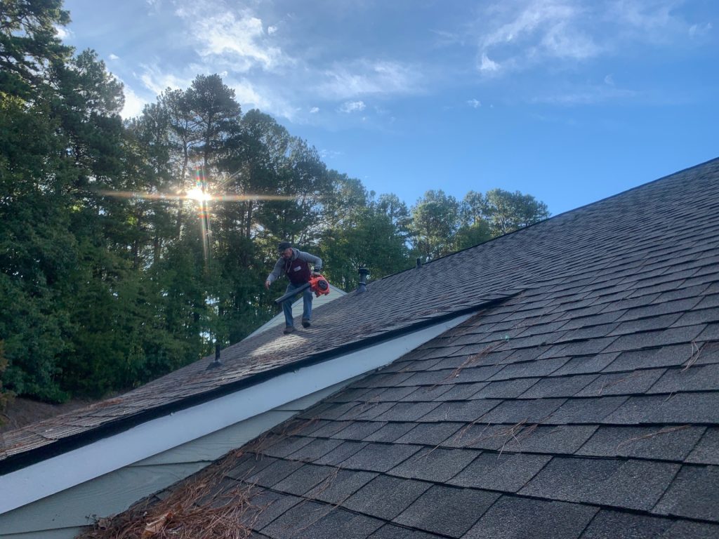 Art on the roof