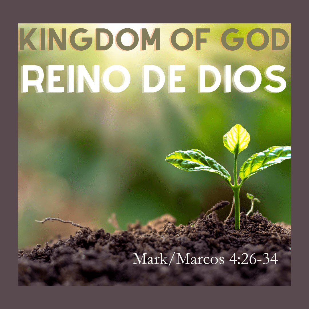 June 16, 2024 – 11th Sunday in Ordinary Time