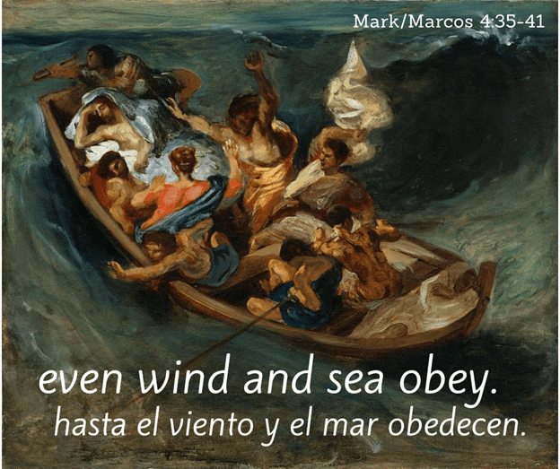 June 23, 2024 – 12th Sunday in Ordinary Time