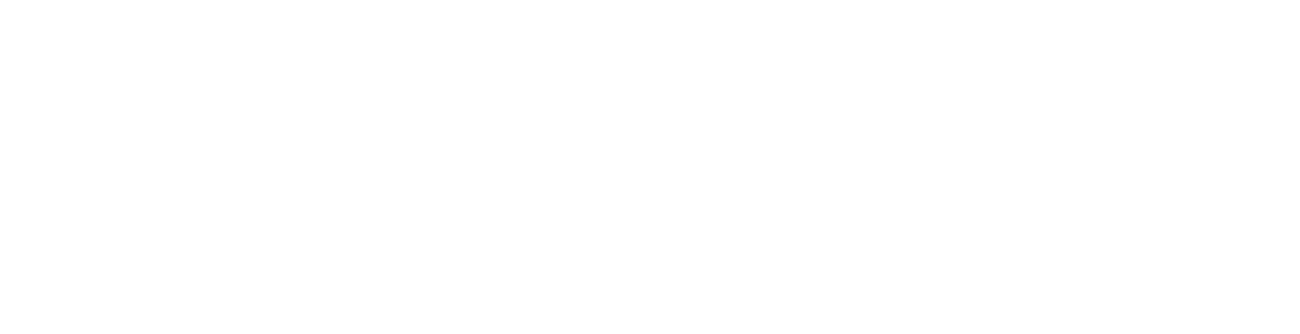 Mission