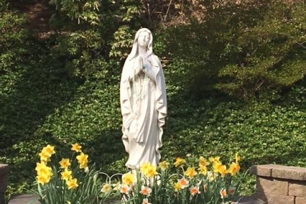Thank you dear parishioners!