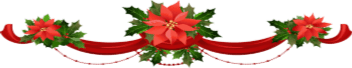 SJ Christmas Flowers